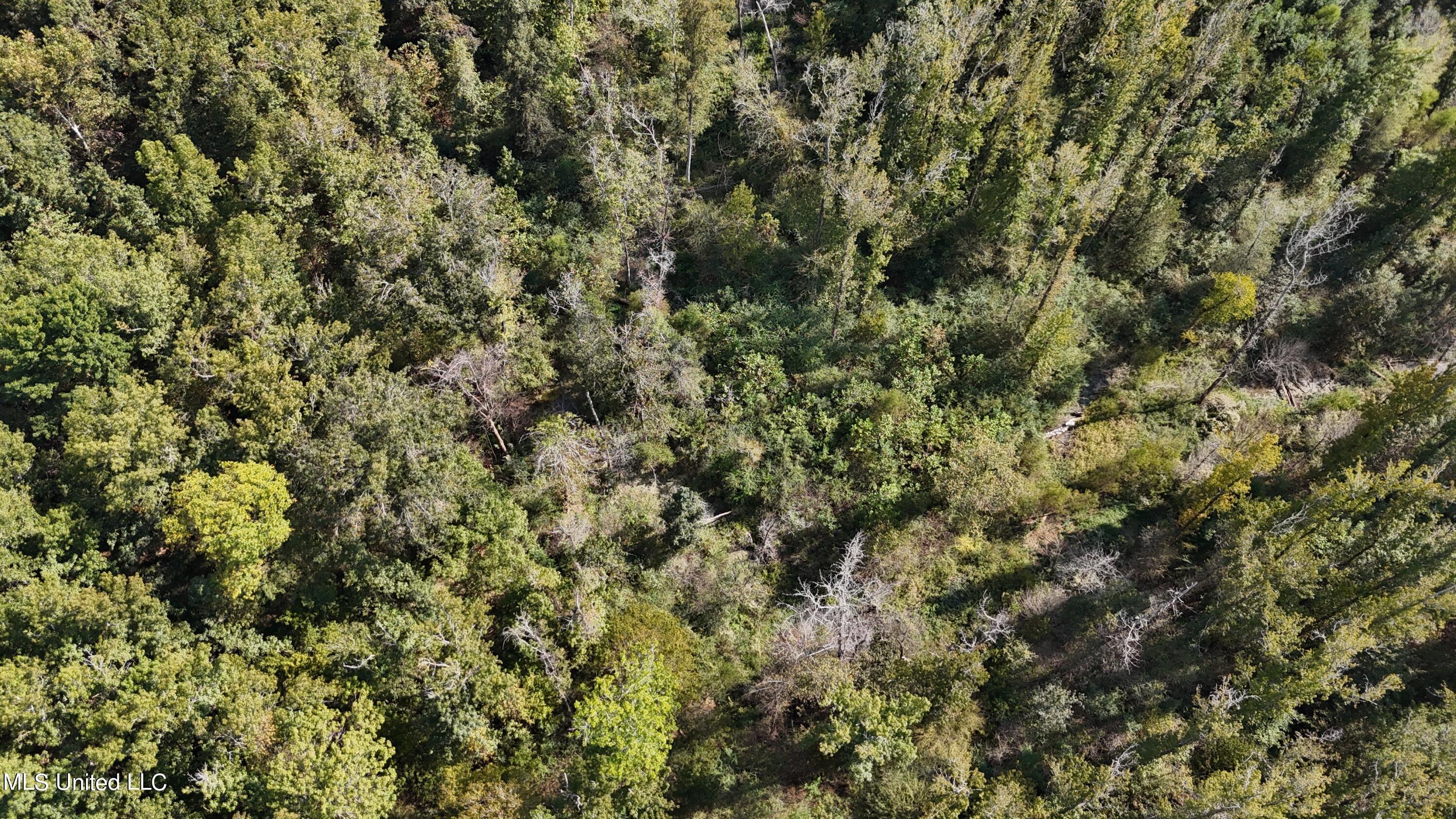 35 Highway 35 Vaiden, MS 39176 - Photo 62 of 88 DJI_20230930143545_0121_D