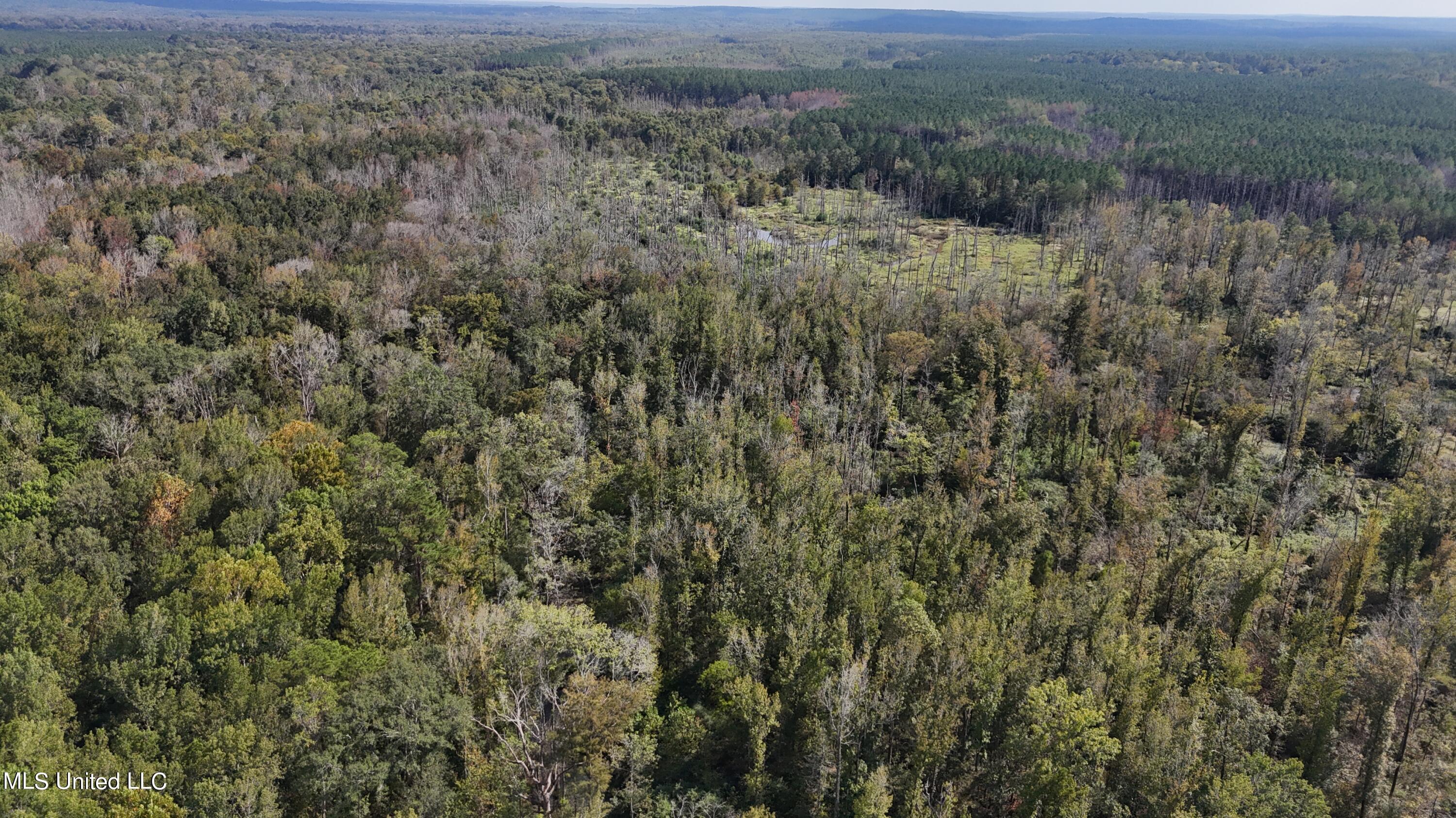 35 Highway 35 Vaiden, MS 39176 - Photo 63 of 88 DJI_20230930143550_0122_D