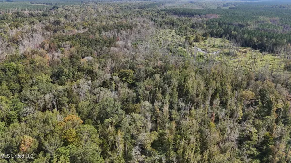 $301,950 | 35 Highway 35, Vaiden, MS 39176