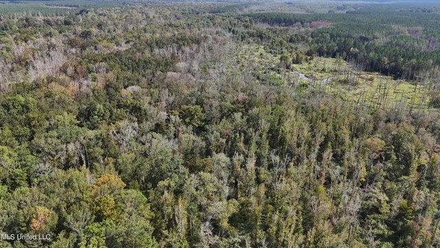 $365,817 | 35 Highway 35, Vaiden, MS 39176