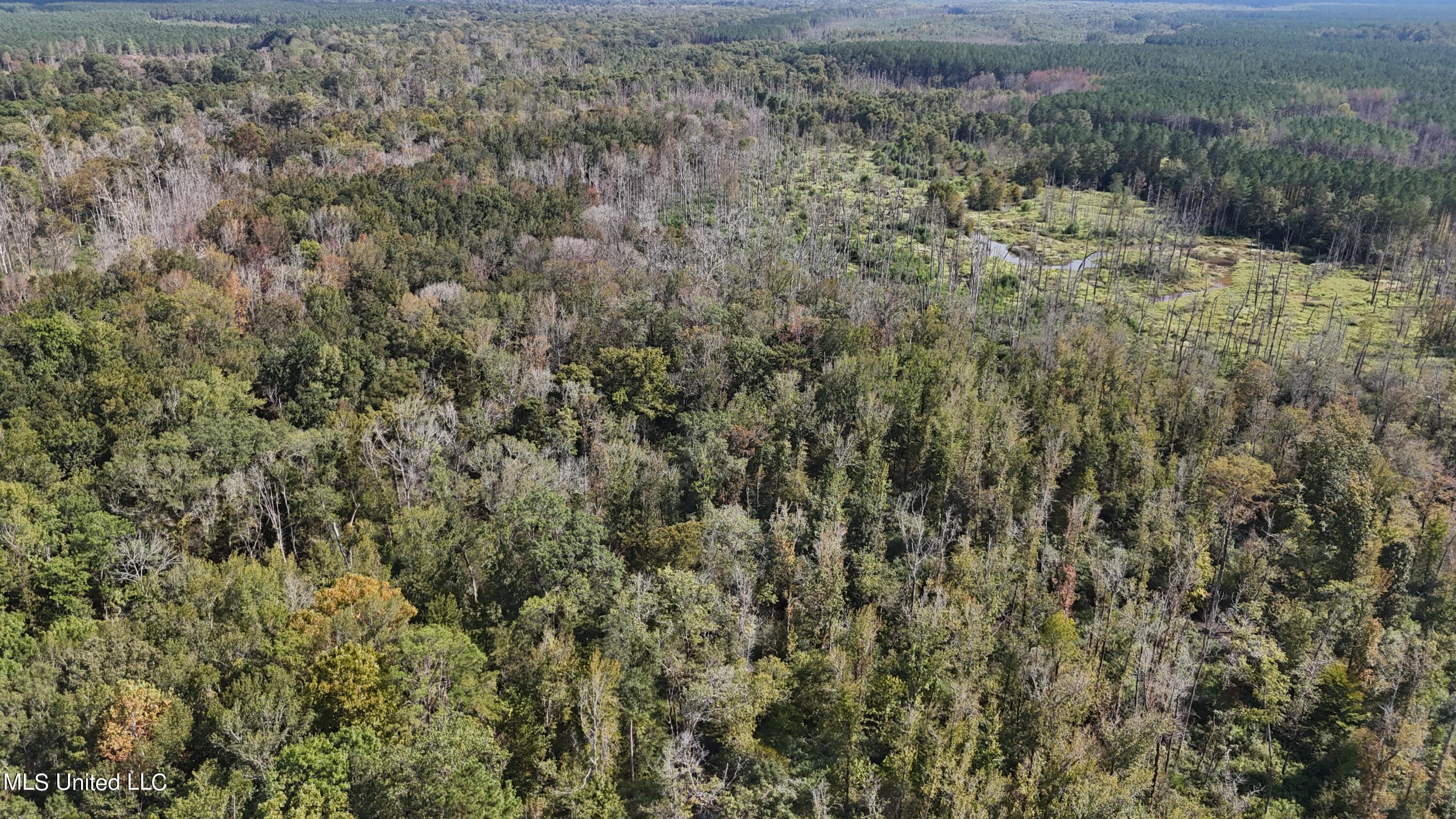 35 Highway 35 Vaiden, MS 39176 - Photo 64 of 88 DJI_20230930143556_0123_D