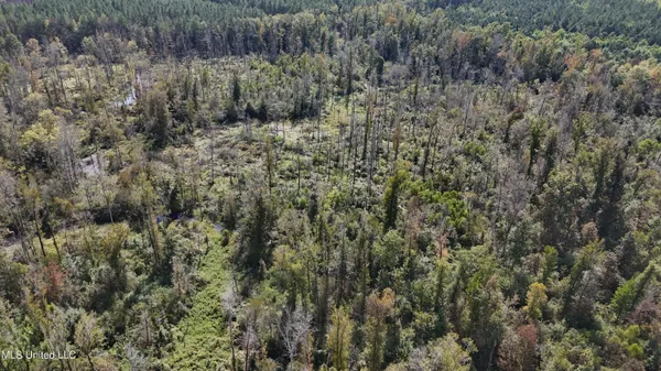 $301,950 | 35 Highway 35, Vaiden, MS 39176