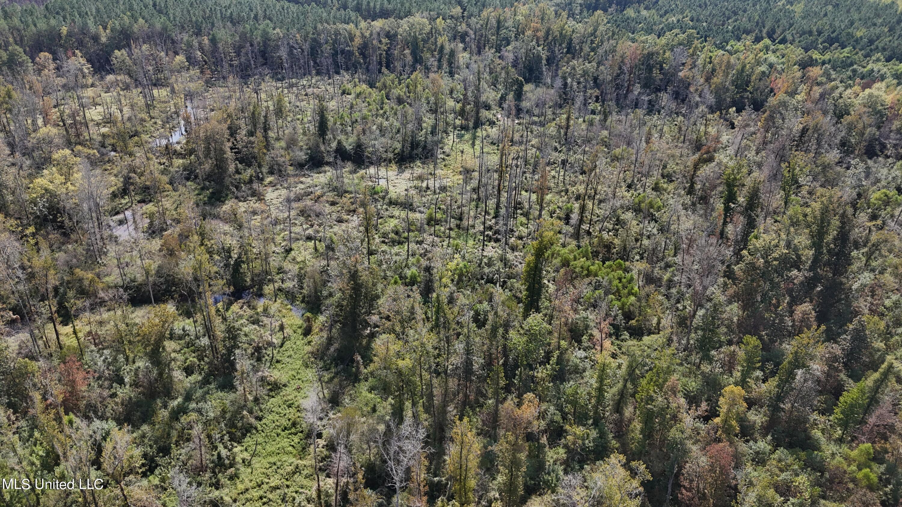 35 Highway 35 Vaiden, MS 39176 - Photo 66 of 88 DJI_20230930143604_0124_D