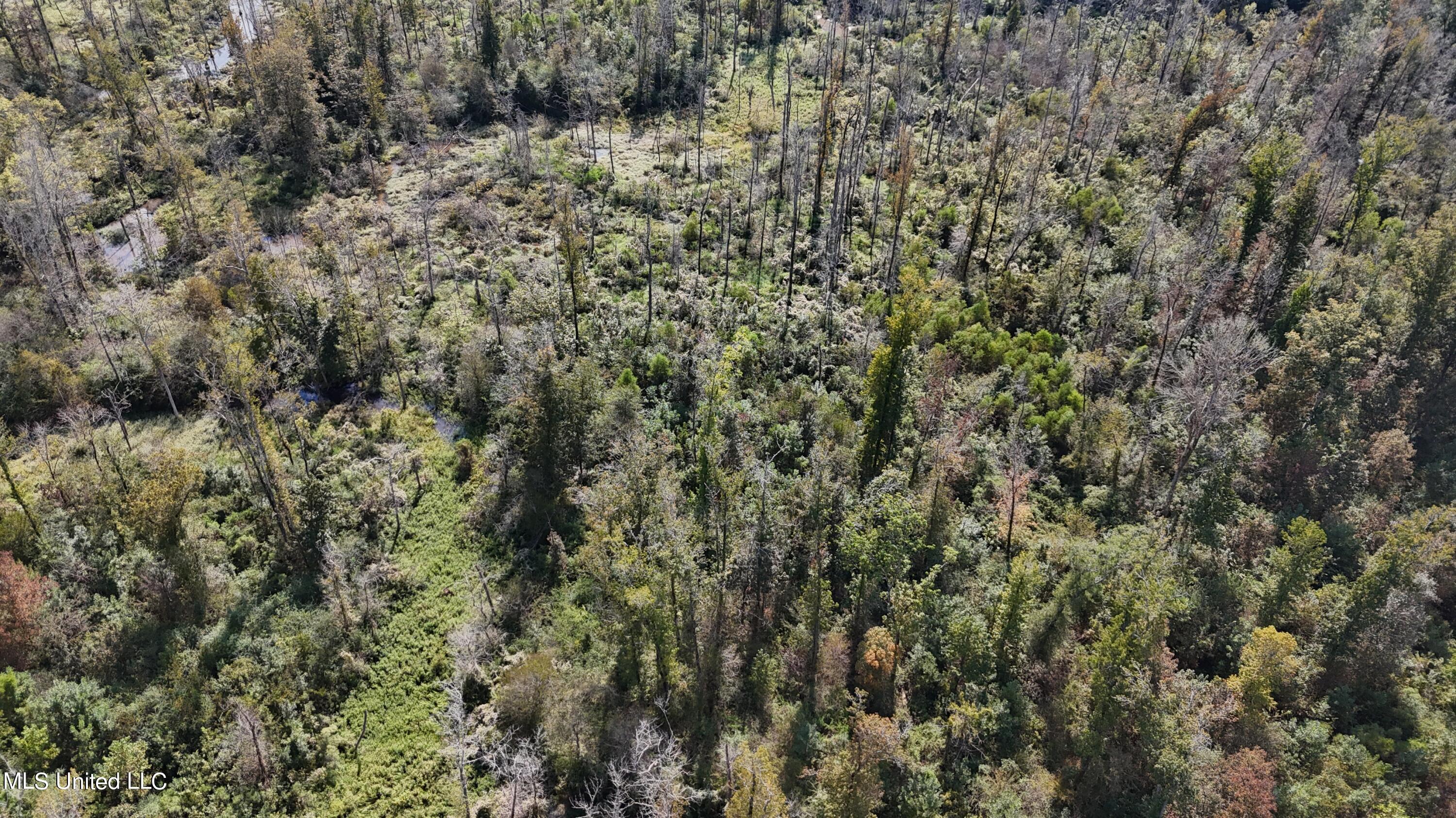 35 Highway 35 Vaiden, MS 39176 - Photo 67 of 88 DJI_20230930143607_0125_D