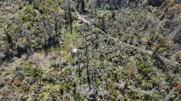 $301,950 | 35 Highway 35, Vaiden, MS 39176