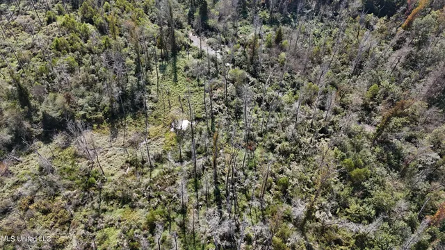 $365,817 | 35 Highway 35, Vaiden, MS 39176