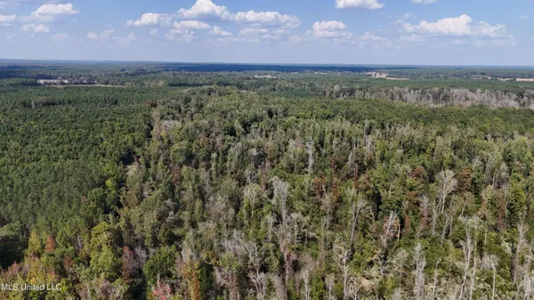 $301,950 | 35 Highway 35, Vaiden, MS 39176