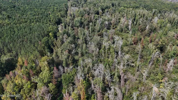 $301,950 | 35 Highway 35, Vaiden, MS 39176