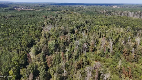 $301,950 | 35 Highway 35, Vaiden, MS 39176