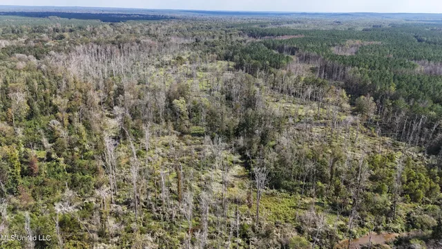 $365,817 | 35 Highway 35, Vaiden, MS 39176