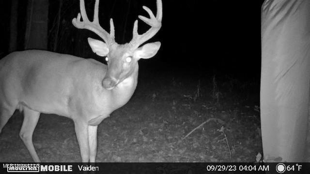 35 Highway 35 Vaiden, MS 39176 - Photo 73 of 88 1169759-20230929092614-20230929040439_00