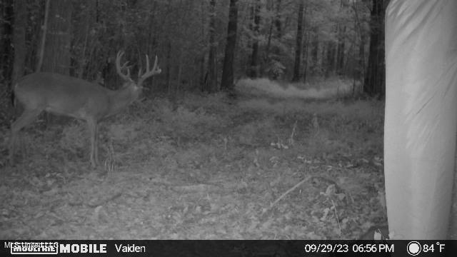 35 Highway 35 Vaiden, MS 39176 - Photo 74 of 88 1169759-20230930020422-20230929185630_00