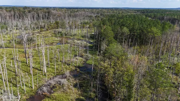 $301,950 | 35 Highway 35, Vaiden, MS 39176