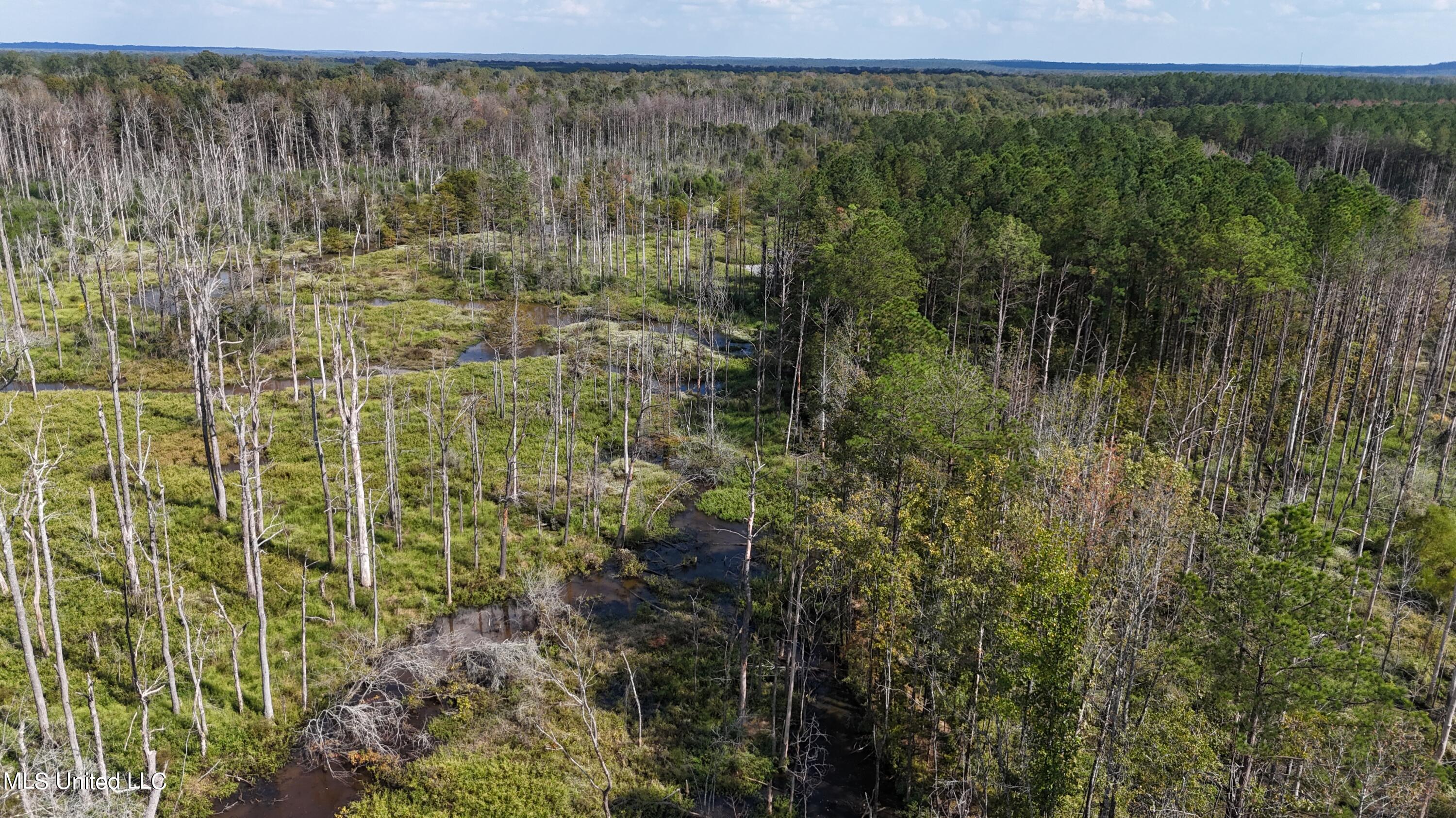 35 Highway 35 Vaiden, MS 39176 - Photo 75 of 88 DJI_20230930143855_0131_D