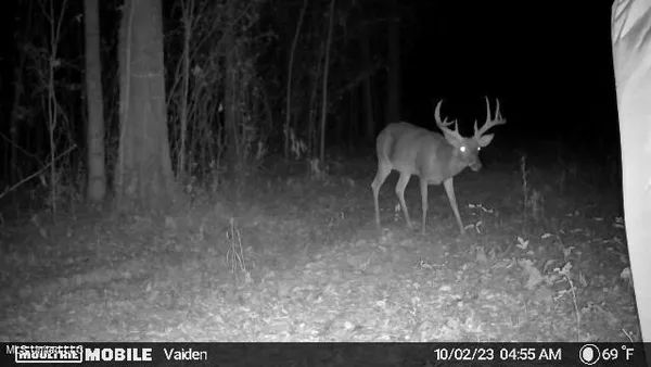 $301,950 | 35 Highway 35, Vaiden, MS 39176