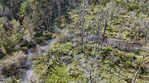 $301,950 | 35 Highway 35, Vaiden, MS 39176