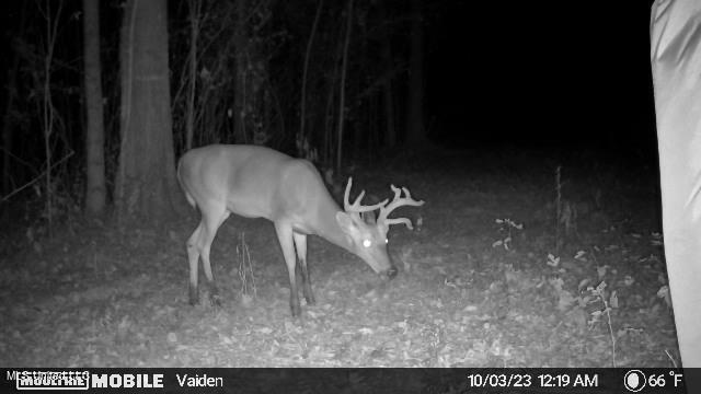 35 Highway 35 Vaiden, MS 39176 - Photo 78 of 88 1203318-20231003060544-20231003001939_00