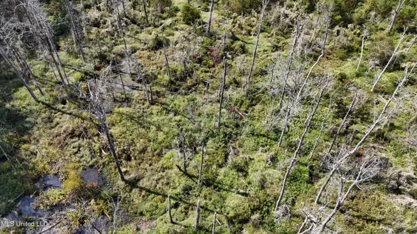 $301,950 | 35 Highway 35, Vaiden, MS 39176