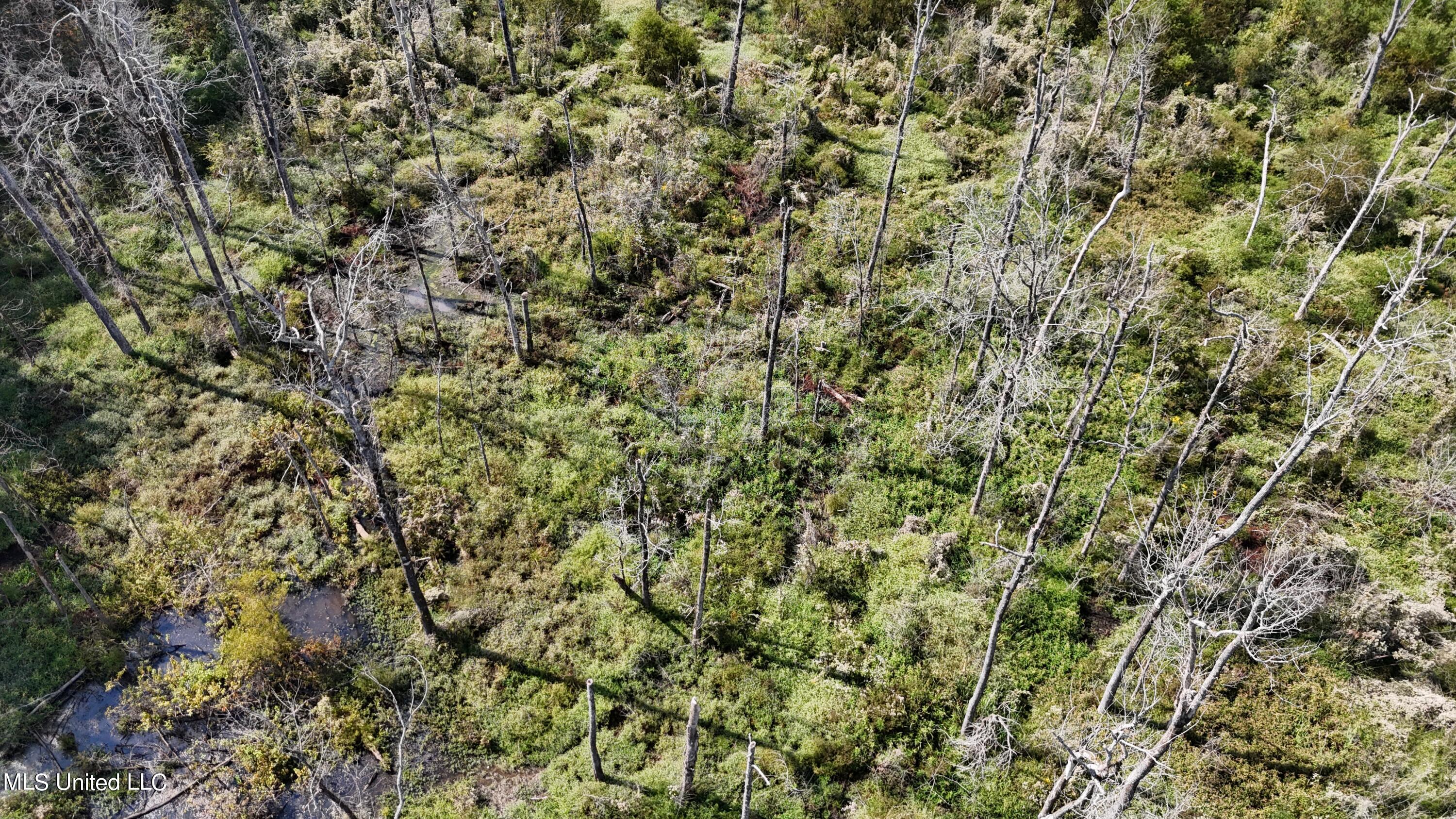 35 Highway 35 Vaiden, MS 39176 - Photo 79 of 88 DJI_20230930143913_0133_D