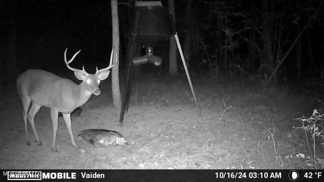 35 Highway 35 Vaiden, MS 39176 - Photo 81 of 88 1203318-20241016120229-100MFCAM_MFDC0351