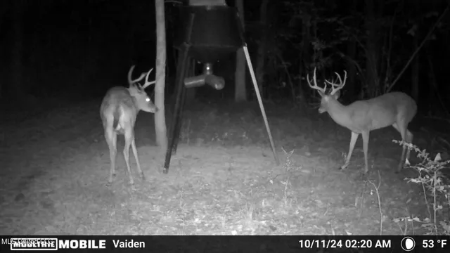 $365,817 | 35 Highway 35, Vaiden, MS 39176