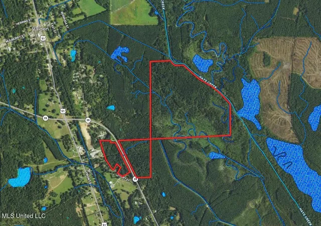 $365,817 | 35 Highway 35, Vaiden, MS 39176