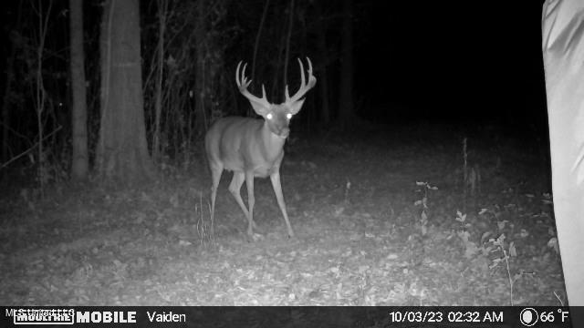 35 Highway 35 Vaiden, MS 39176 - Photo 10 of 88 1203318-20231003122331-20231003023239_00