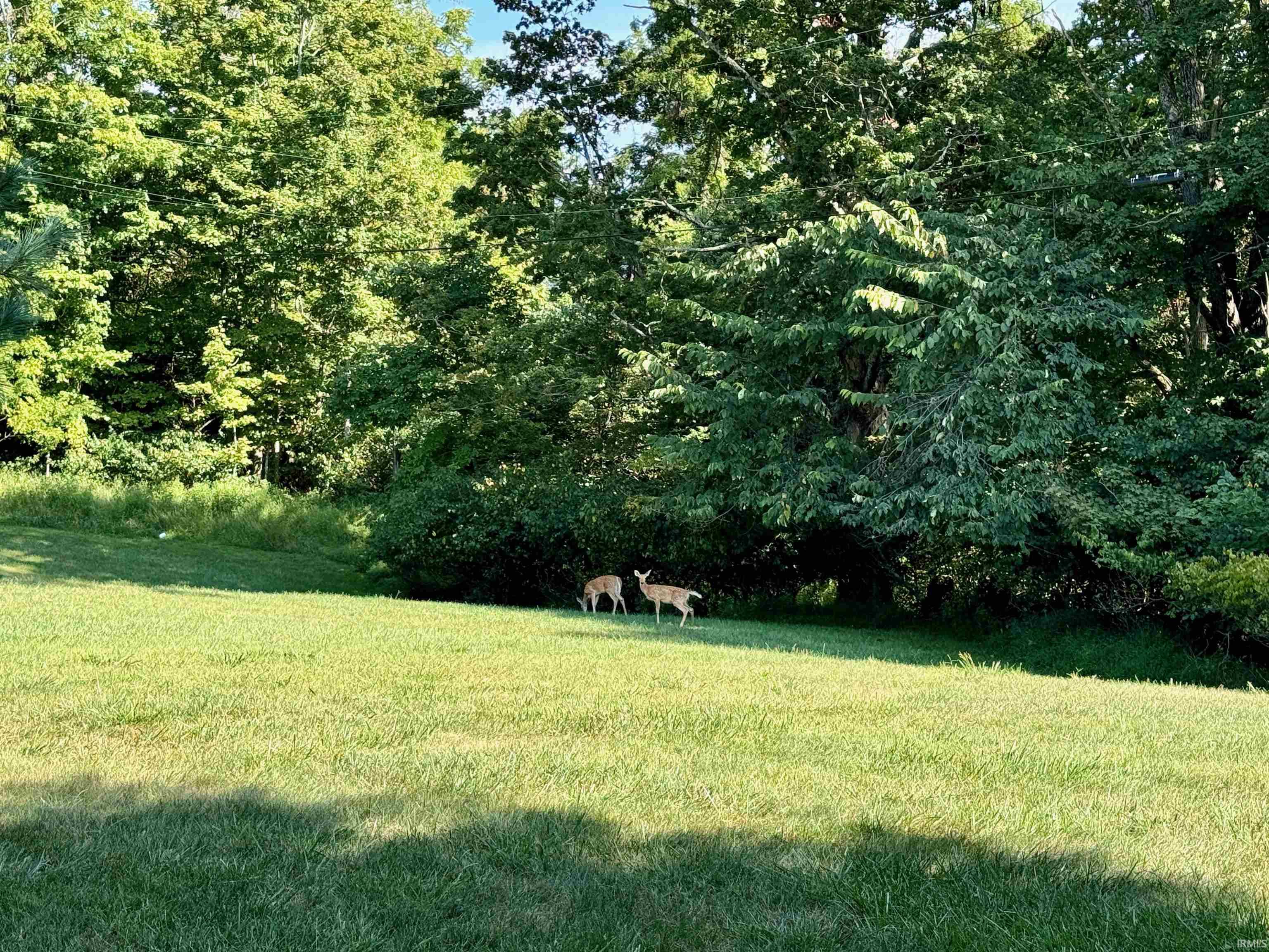 4904 East Inverness Woods Road Bloomington, IN 47401 - Photo 23 of 25