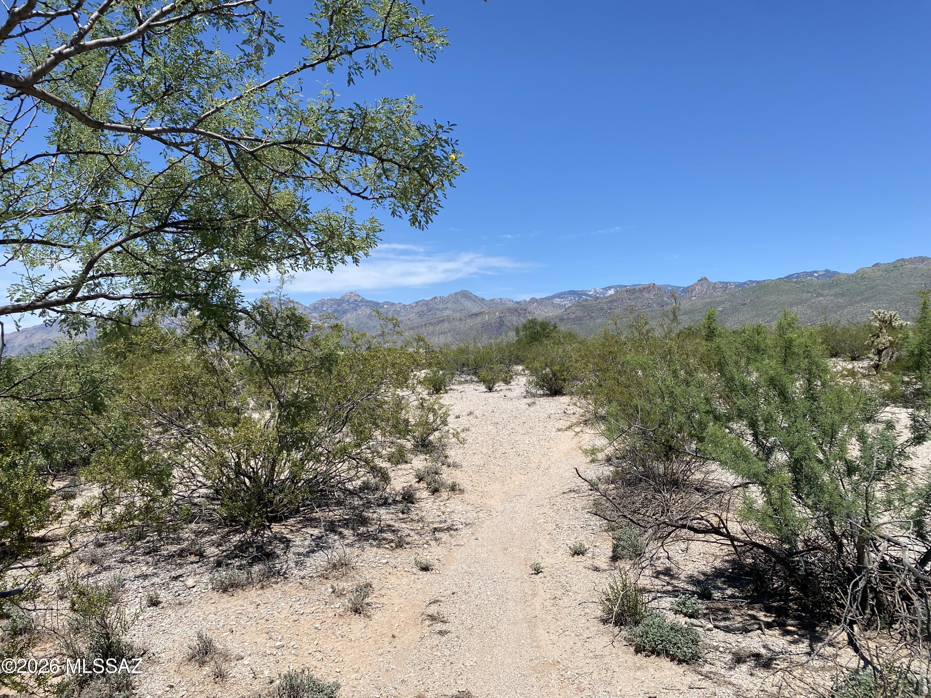 5-acres East Kleindale Road Tucson, AZ 85749 - Photo 14 of 23 IMG_3786