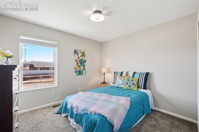 7262 Red Cardinal Loop Colorado Springs, CO 80908 - Photo 21 of 37 Gallery Image 21