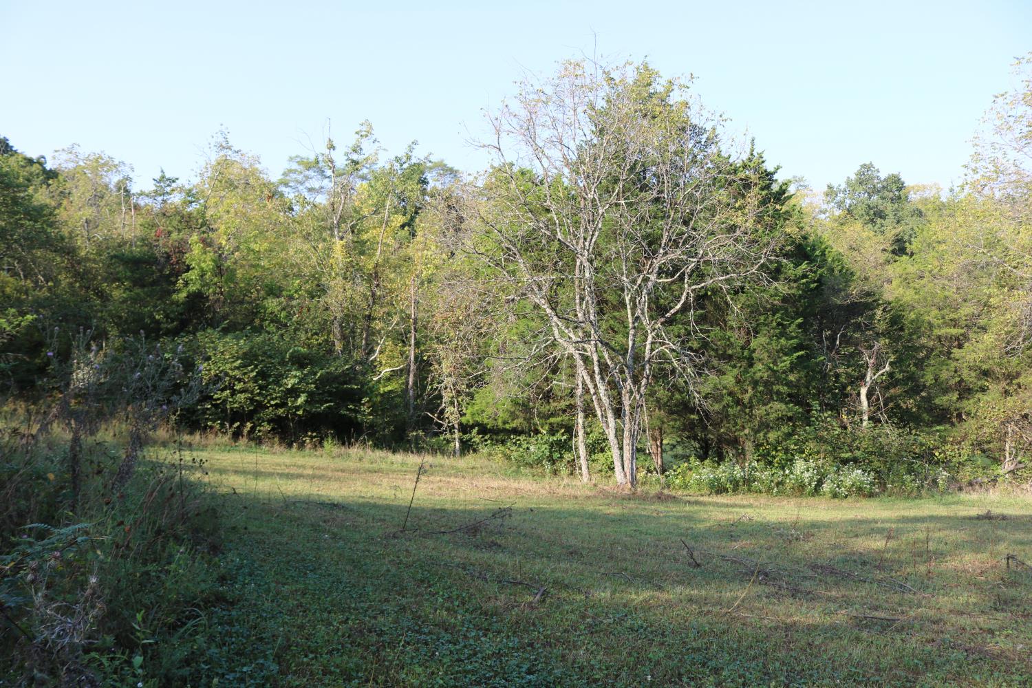 0 Dugan Road Vevay, IN 47043 - Photo 19 of 53 Gallery Image 19