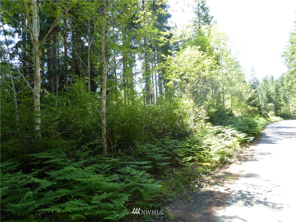 2 Northwest Stavis Bay Road Seabeck, WA 98380 - Photo 1 of 12 Gallery Image 1