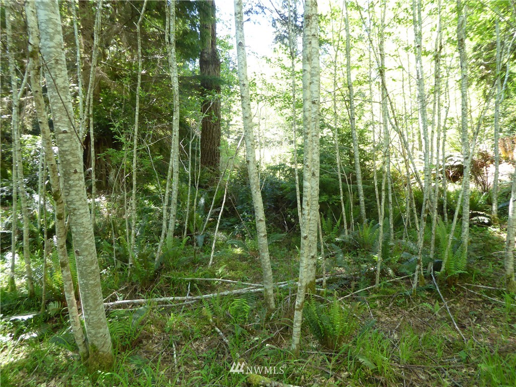 2 Northwest Stavis Bay Road Seabeck, WA 98380 - Photo 4 of 12 Gallery Image 4