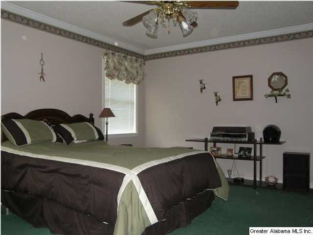 5540 Miles Spring Road Pinson, AL 35126 - Photo 13 of 28