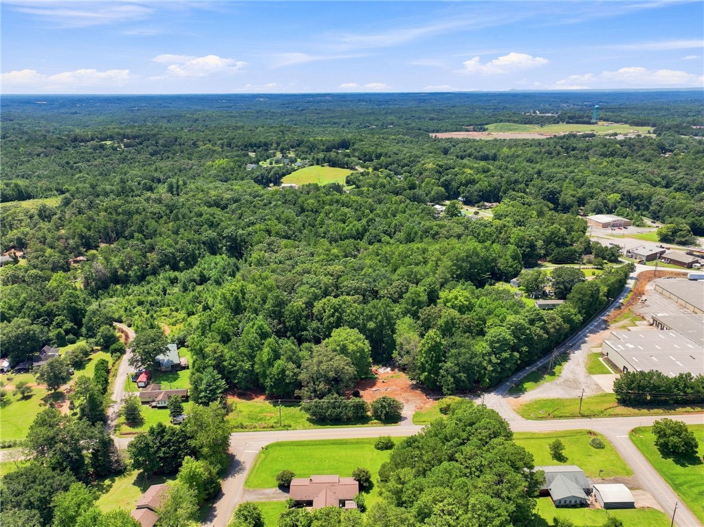 170 Singing Pines Road Seneca, SC 29678 - Photo 8 of 19 Mature woodlands stretch across this expansive property under wide blue skies.