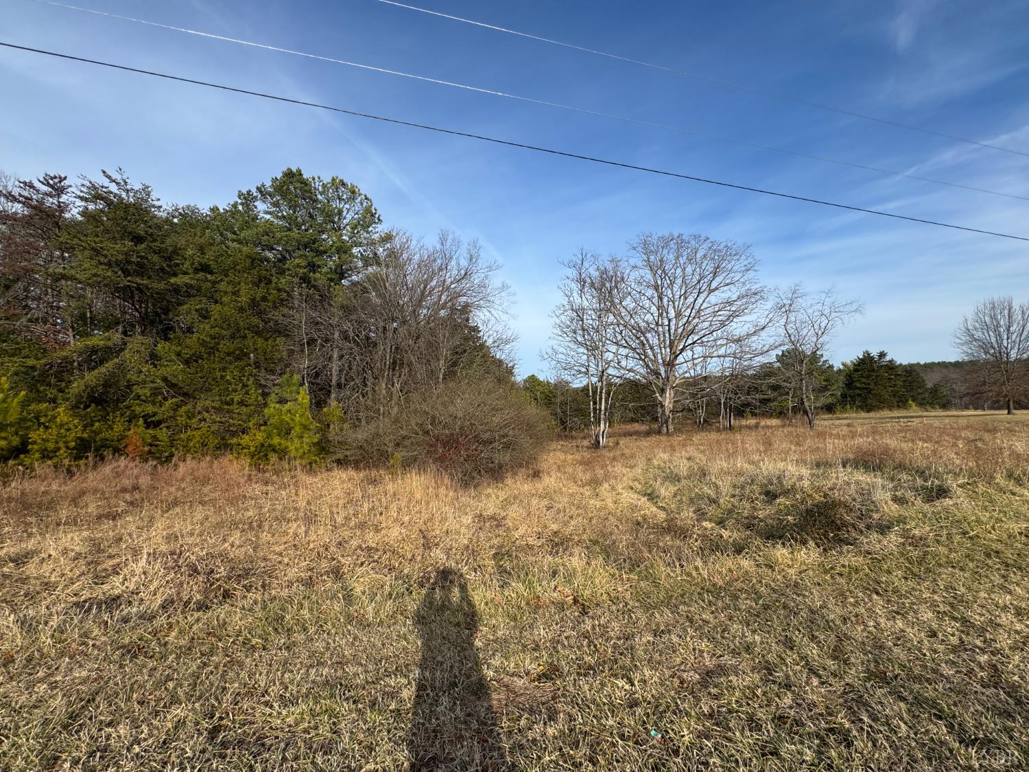 0 Watt Abbitt Road Appomattox, VA 24522 - Photo 9 of 10