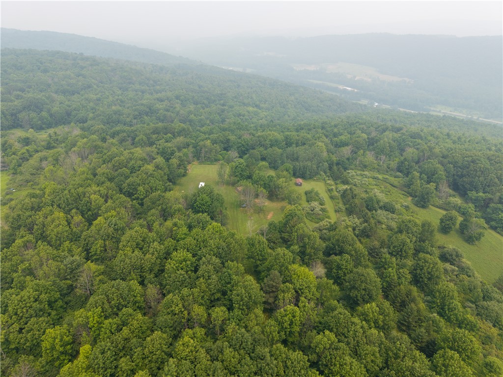 2571 Delude Road Dalton, NY 14836 - Photo 25 of 48