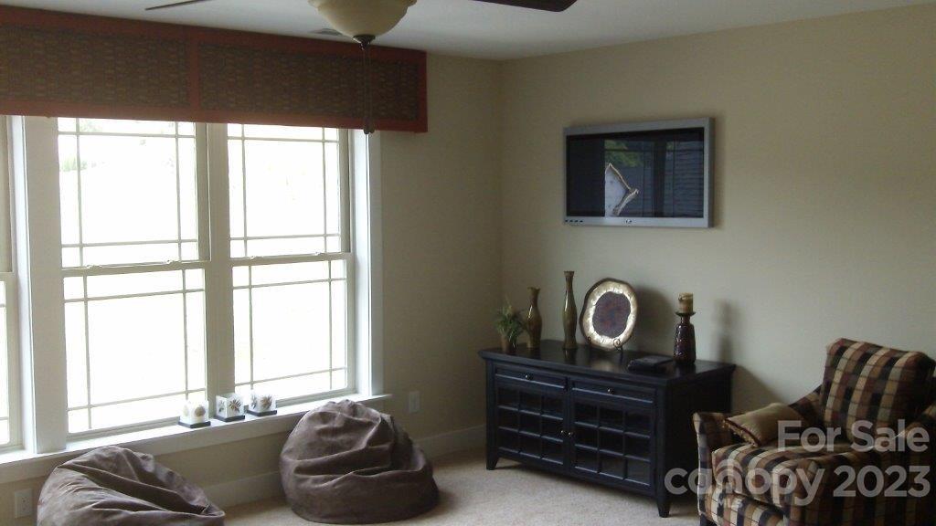 14 Brookstone Place, Unit R4 Candler, NC 28715 - Photo 19 of 23 Gallery Image 19