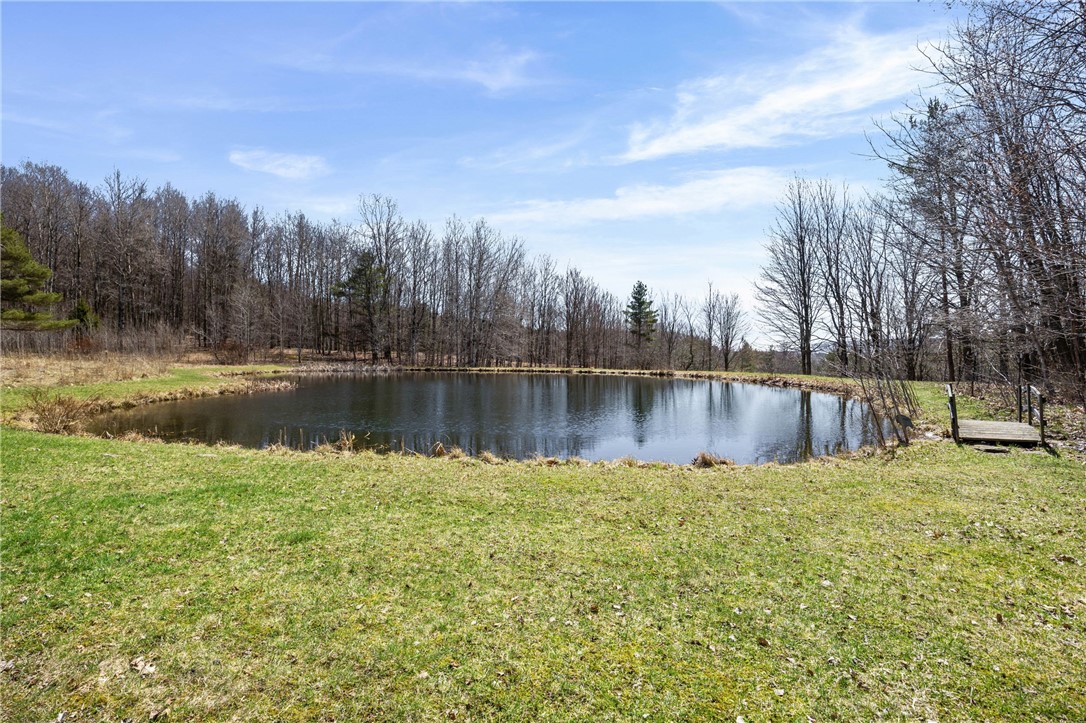 6559 Gulick Road South Bristol, NY 14512 - Photo 22 of 32