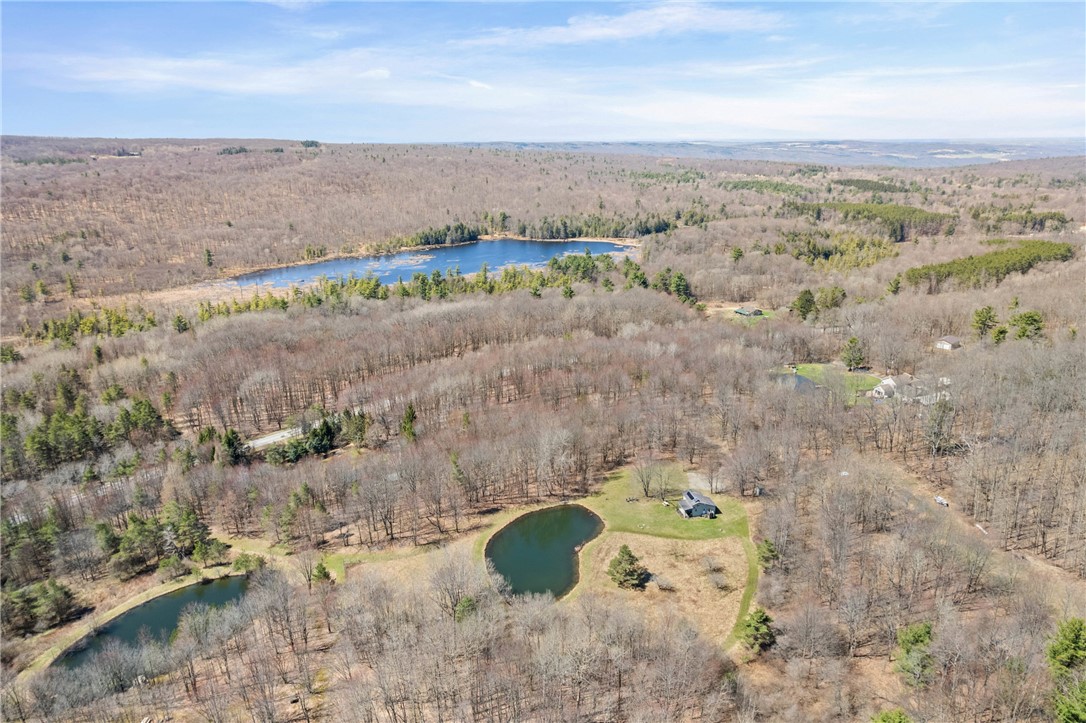 6559 Gulick Road South Bristol, NY 14512 - Photo 28 of 32