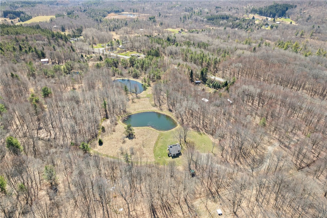 6559 Gulick Road South Bristol, NY 14512 - Photo 29 of 32