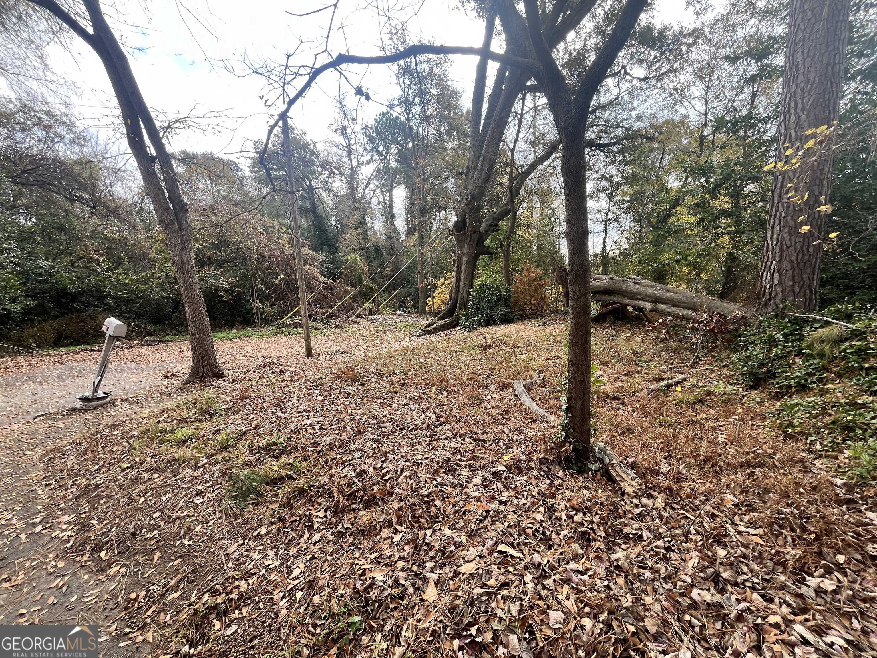730 Glass Street Northwest Atlanta, GA 30318 - Photo 12 of 50 a view of a forest filled with trees