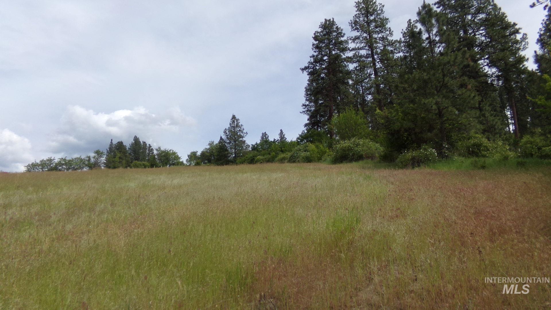 Tbd Tbd Summit Lenore, ID 83541 - Photo 27 of 30
