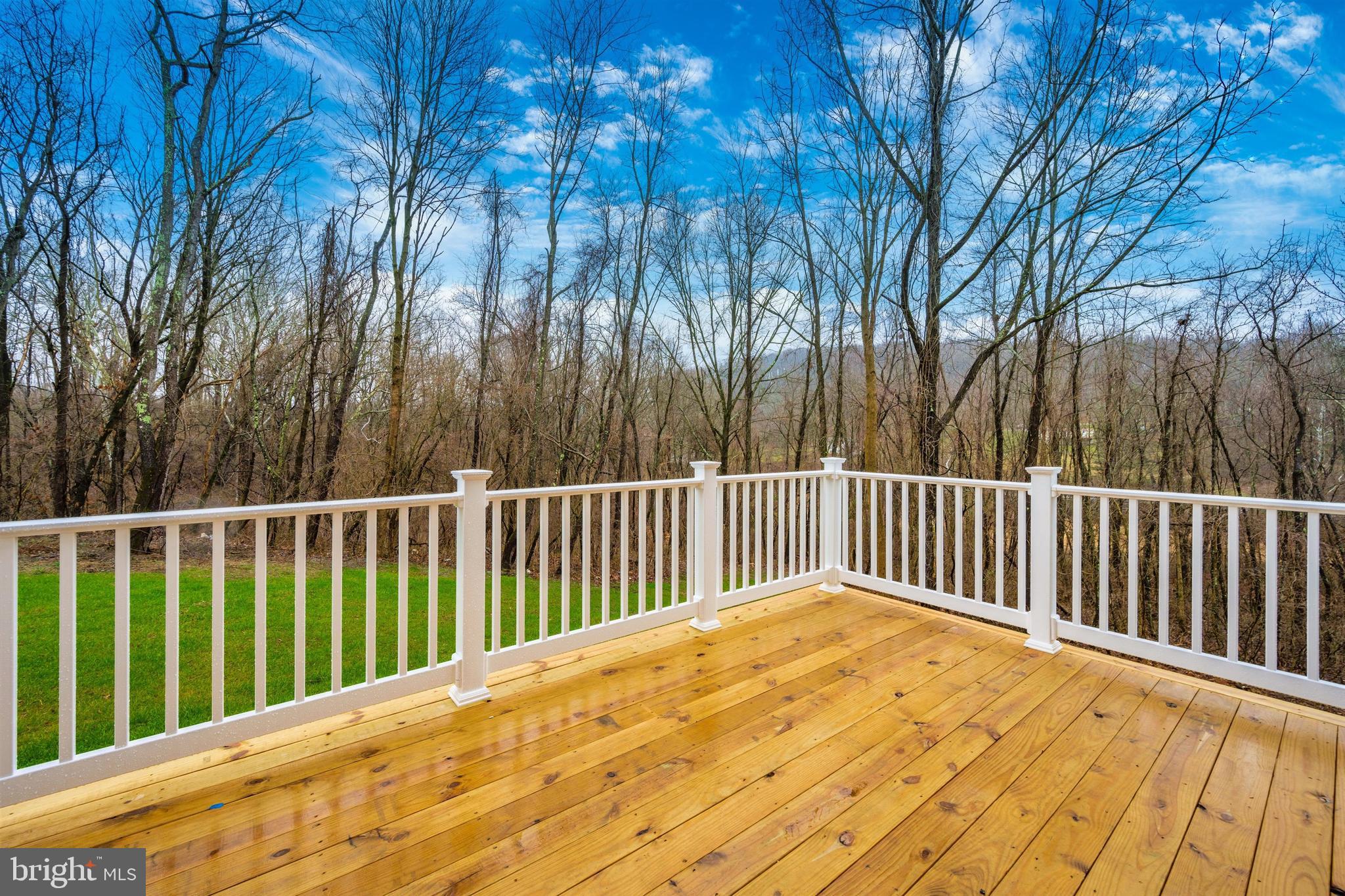 New London Road New Market, MD 21774 - Photo 61 of 68 a balcony with trees in front of it