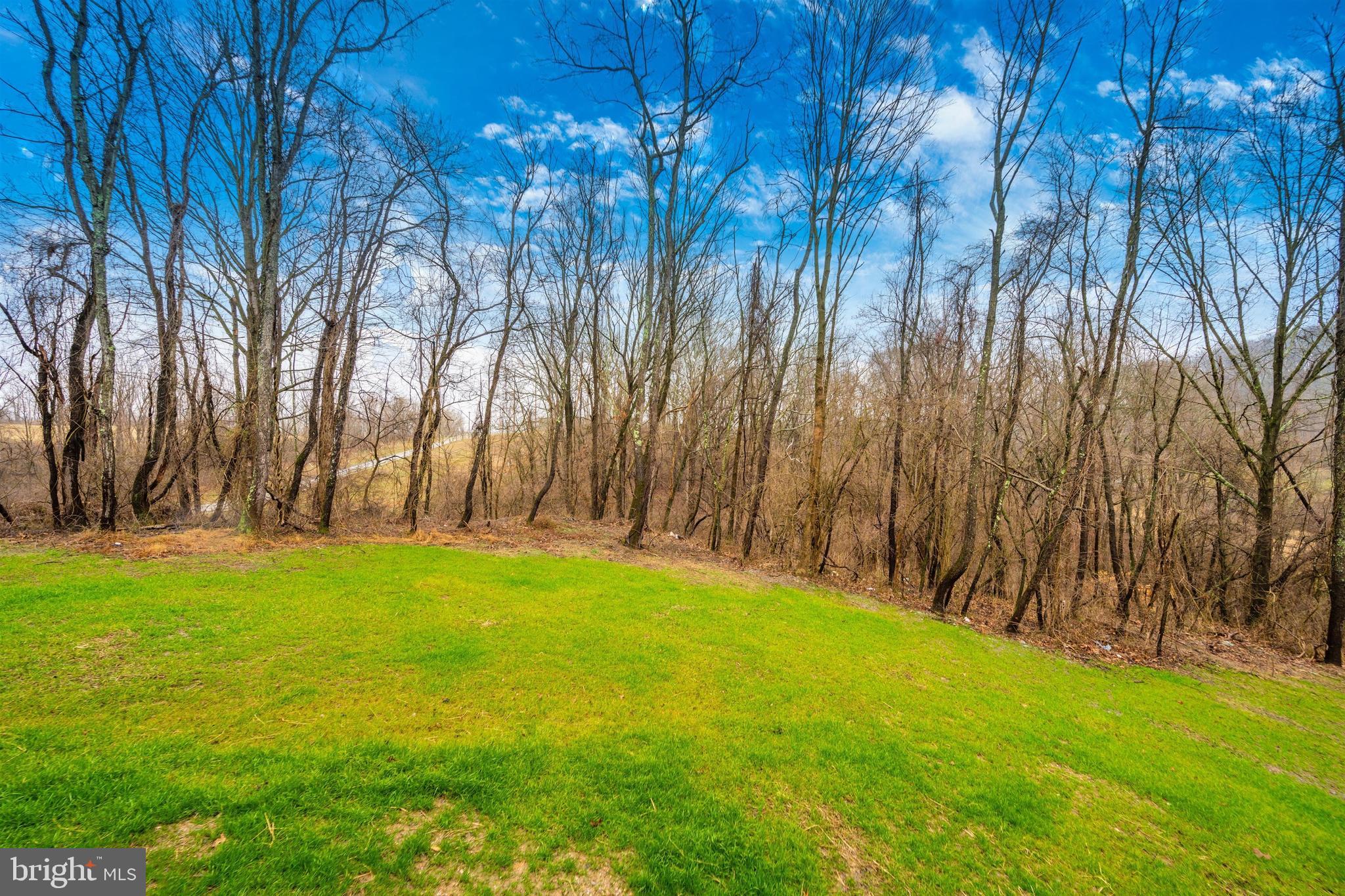 New London Road New Market, MD 21774 - Photo 65 of 68 a backyard of a house with lots of green space and trees