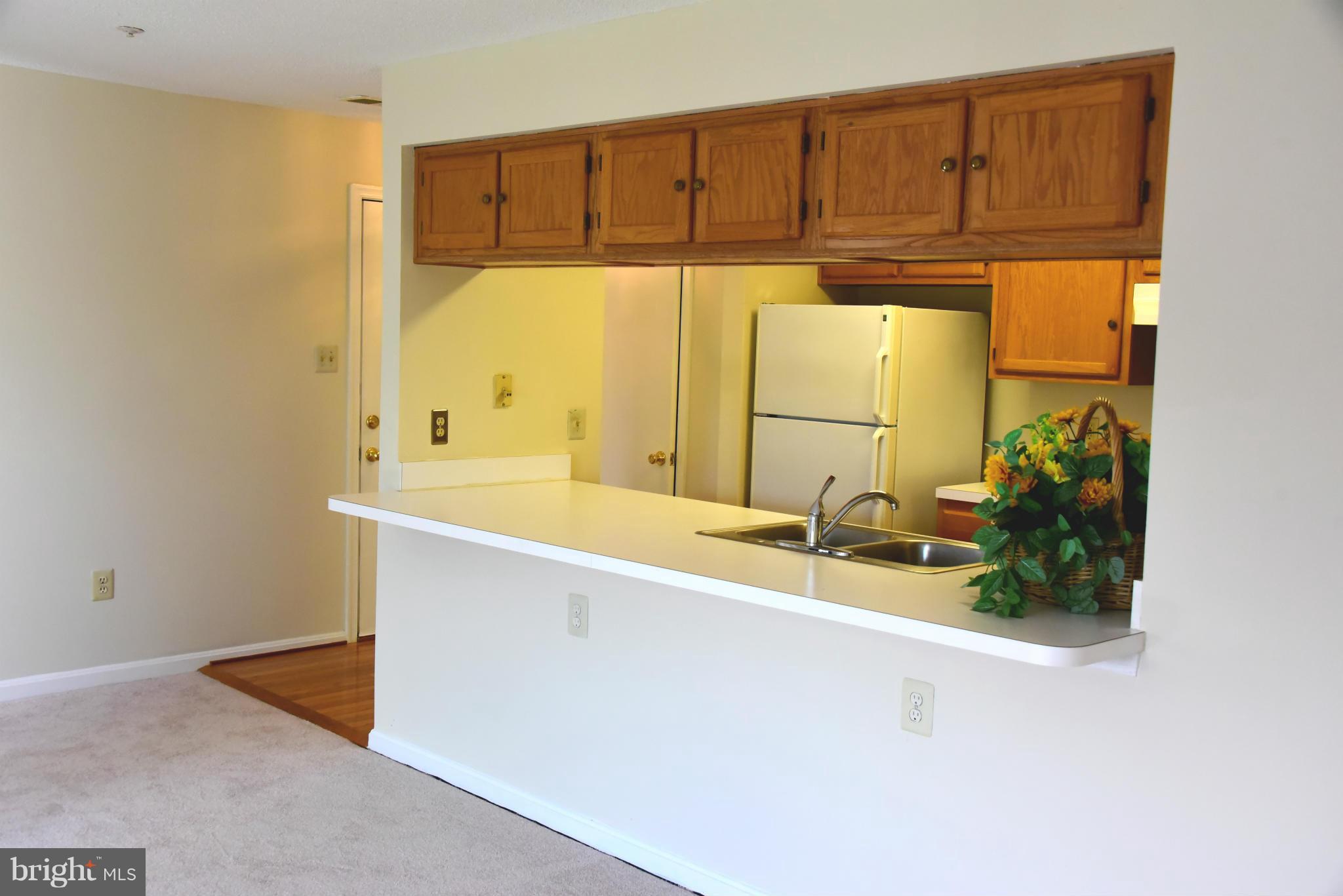 14101 Fall Acre Court, Unit 722 Silver Spring, MD 20906 - Photo 7 of 19 Kitchen