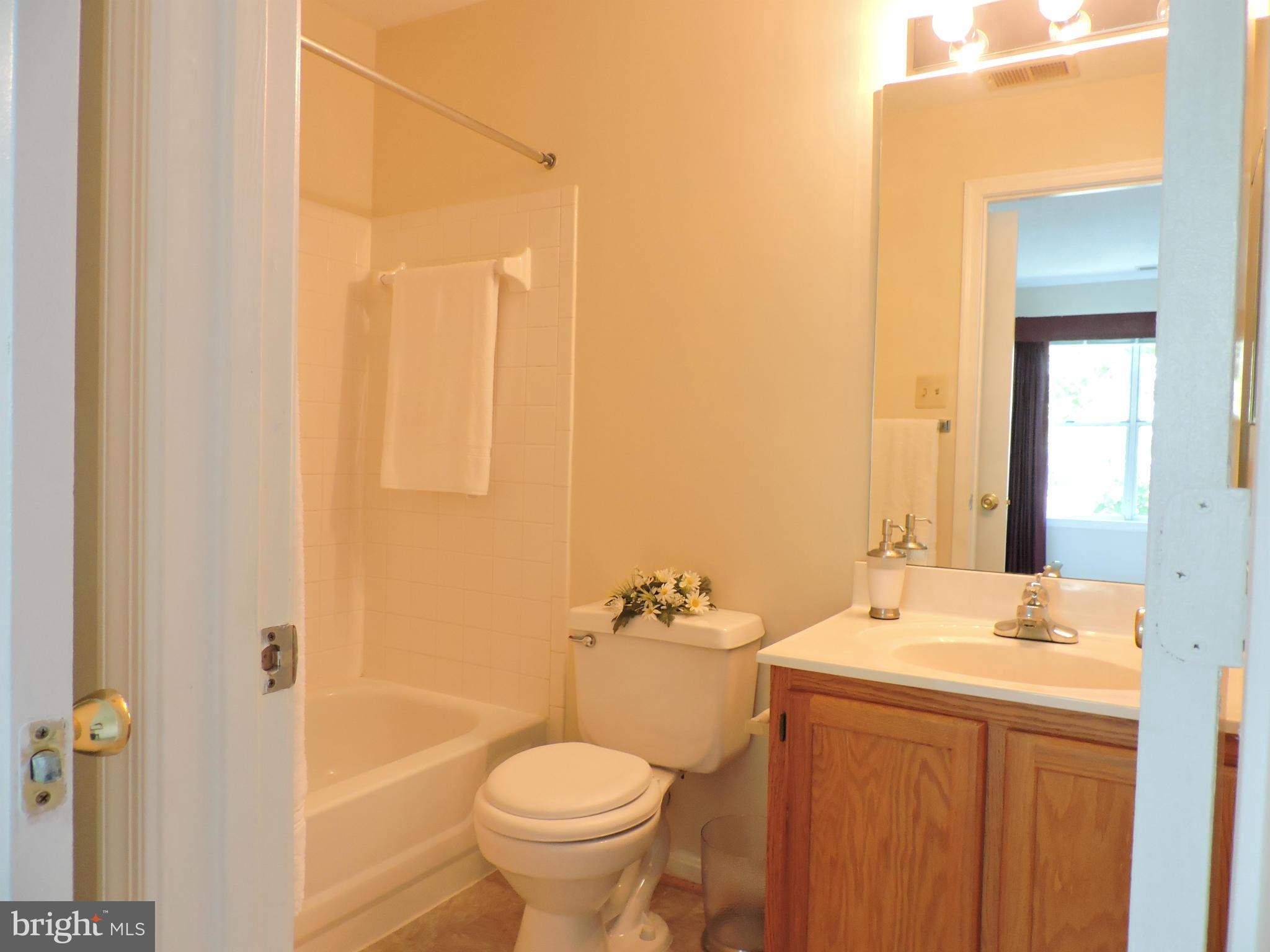 14101 Fall Acre Court, Unit 722 Silver Spring, MD 20906 - Photo 9 of 19 Bath (Master)