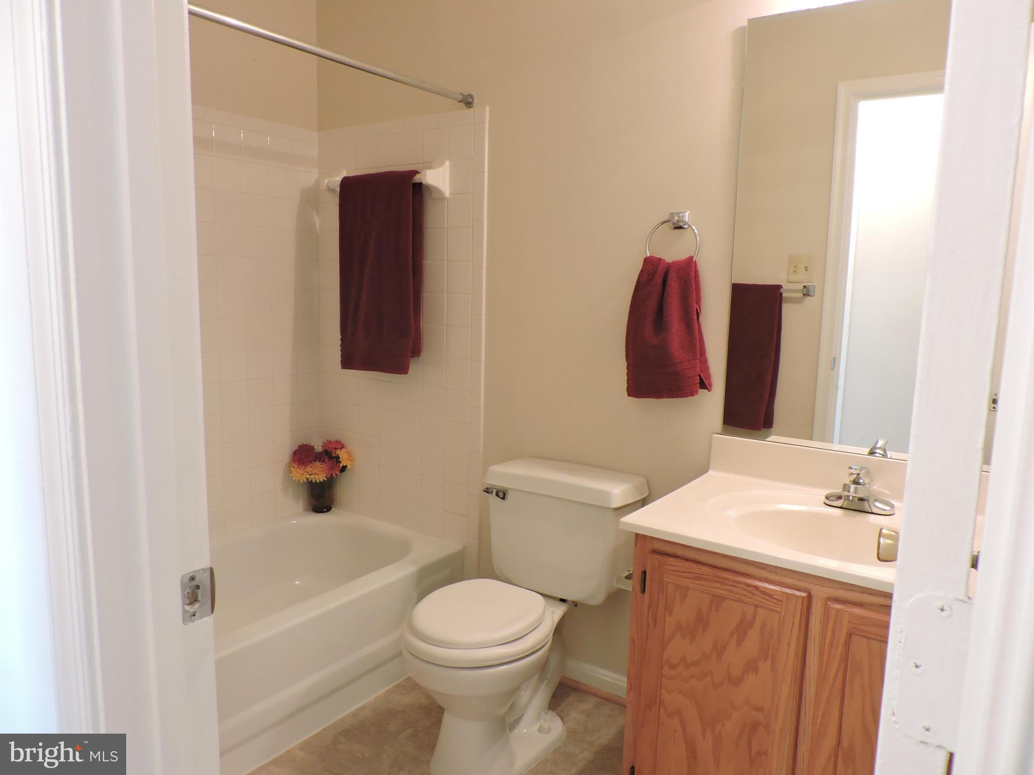 14101 Fall Acre Court, Unit 722 Silver Spring, MD 20906 - Photo 10 of 19 Second Bath