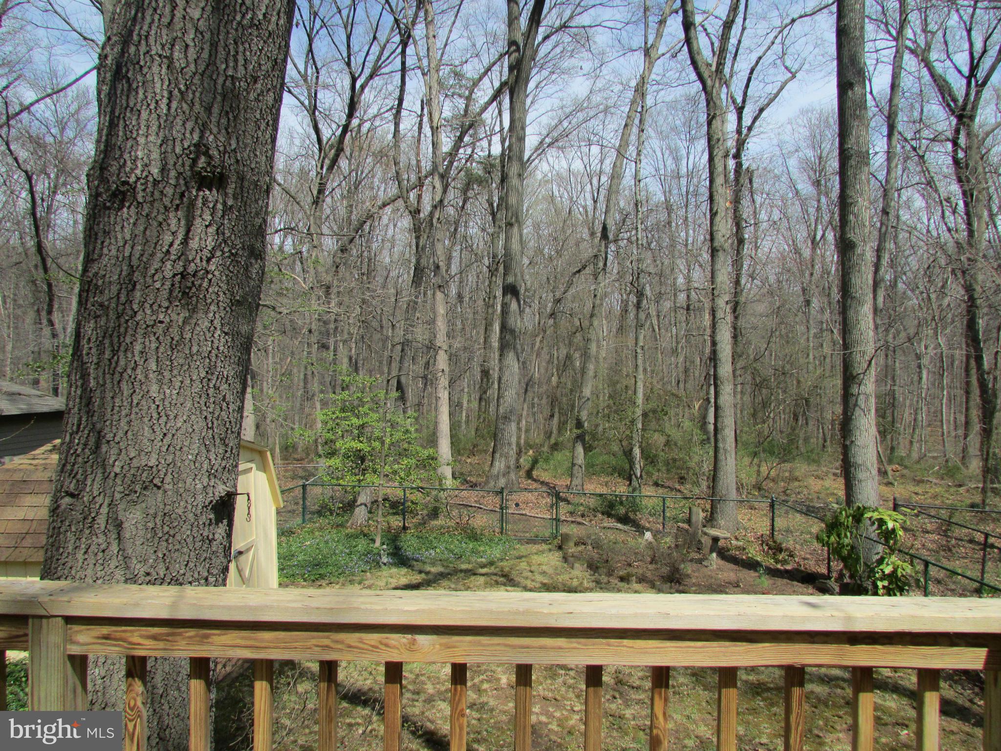 58 Ridge Road, Unit E Greenbelt, MD 20770 - Photo 4 of 12 Exterior (Rear)