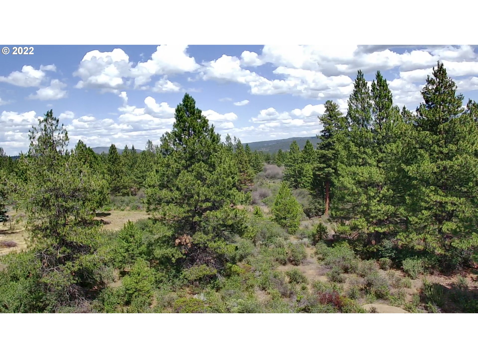 David Street, Unit 3 Chiloquin, OR 97624 - Photo 1 of 12
